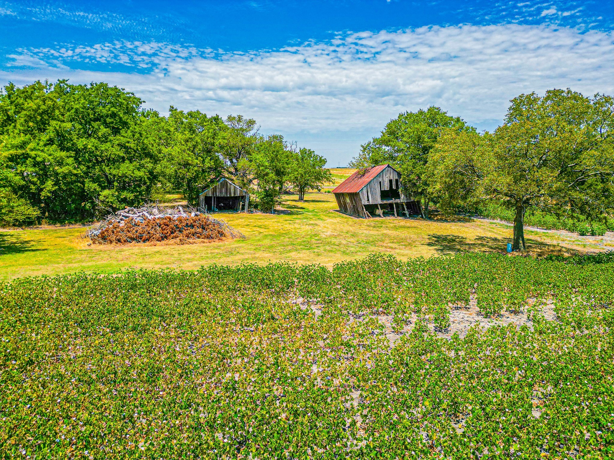 Tbd Fm 744 Malone TX 76660