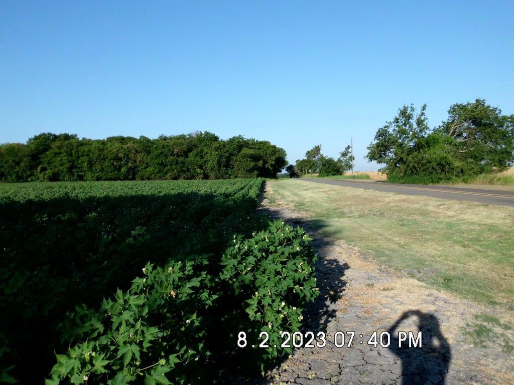 Tbd Fm 744 Malone TX 76660