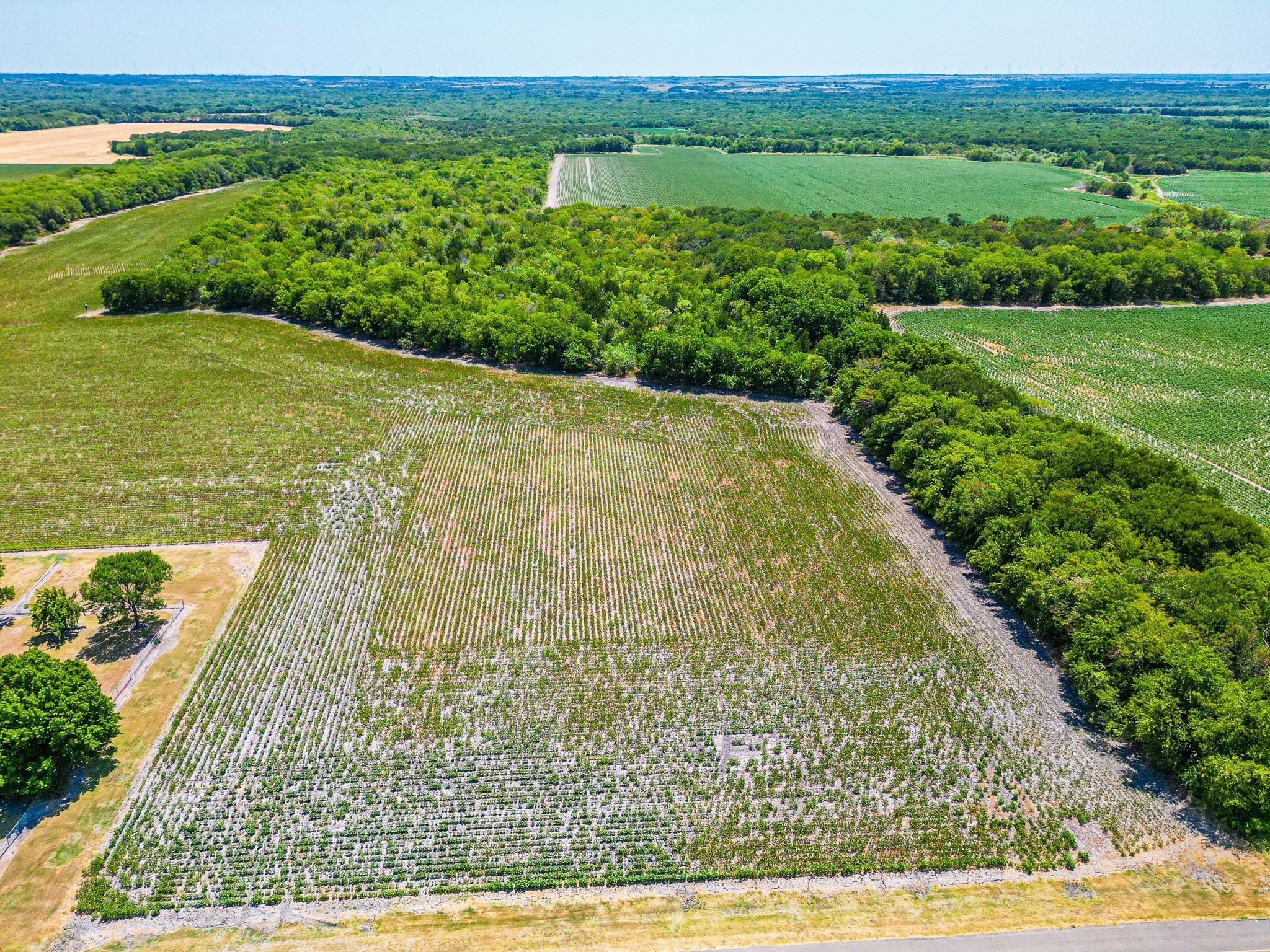 Tbd Fm 744 Malone TX 76660