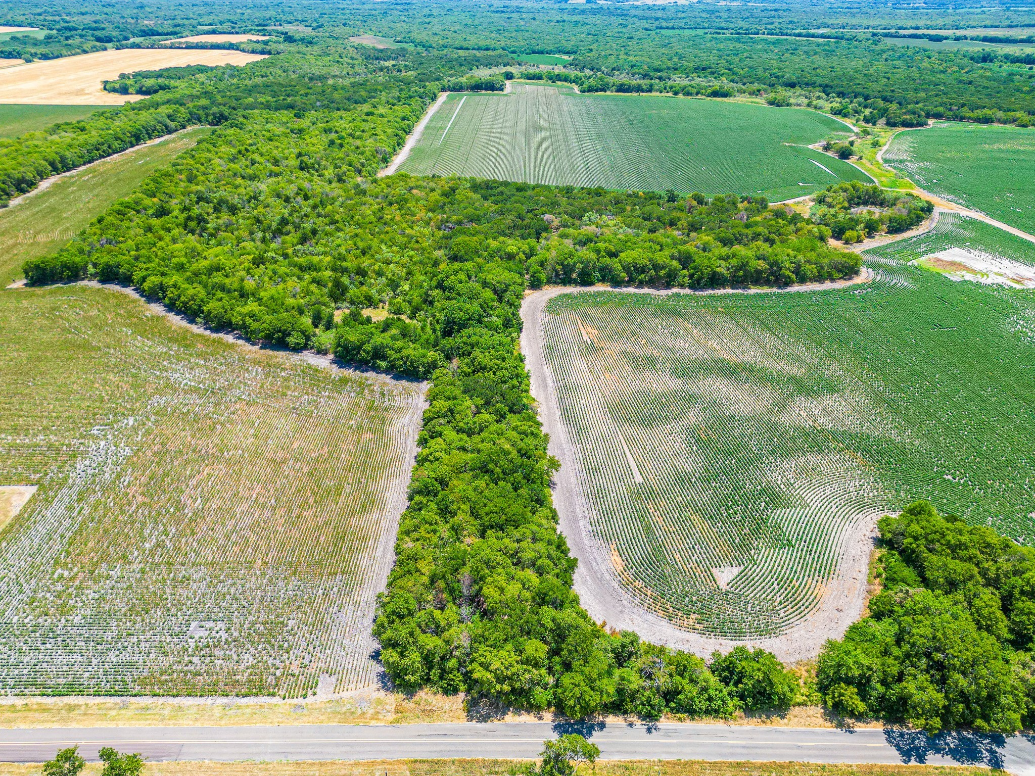 Tbd Fm 744 Malone TX 76660