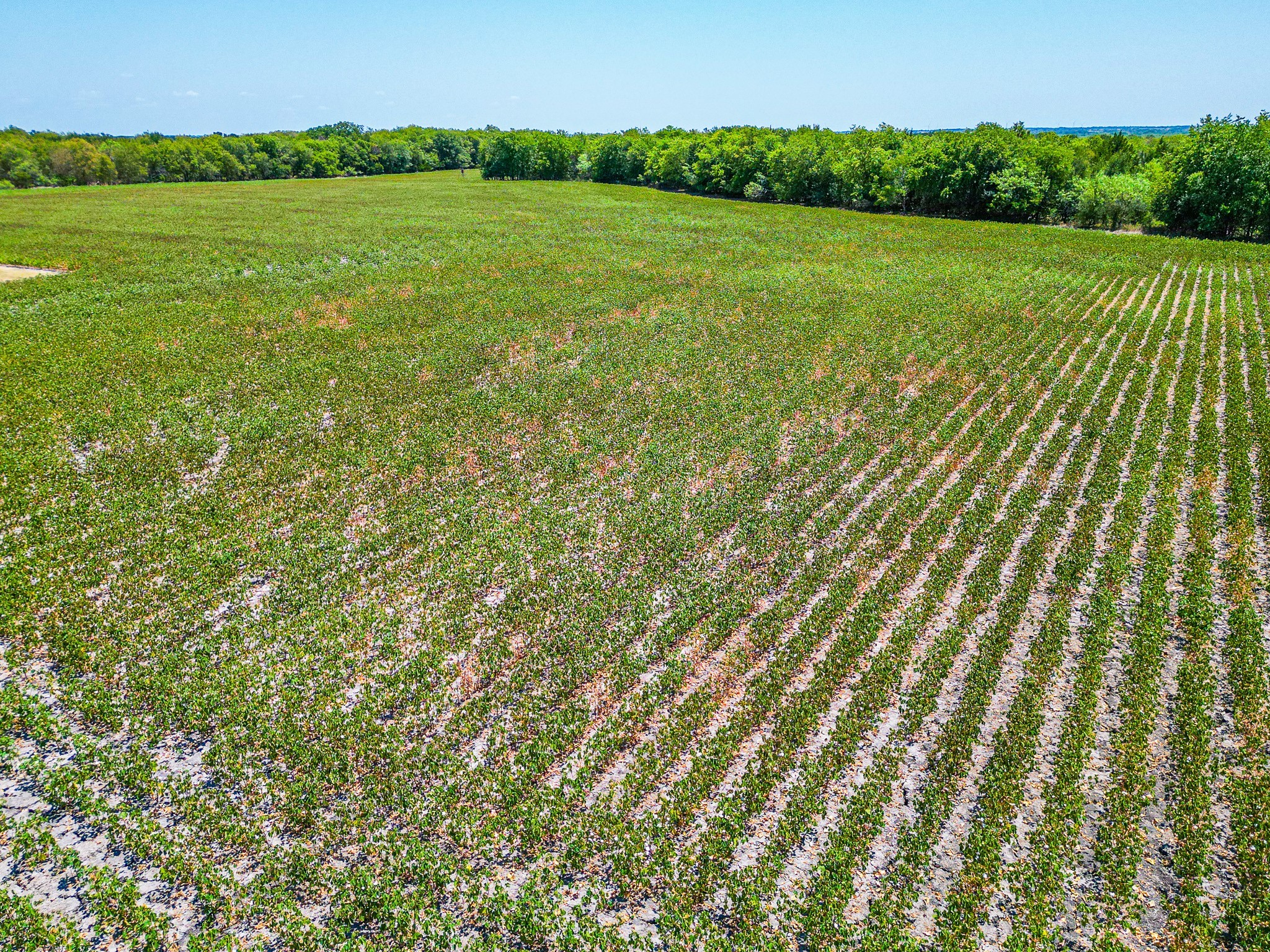 Tbd Fm 744 Malone TX 76660