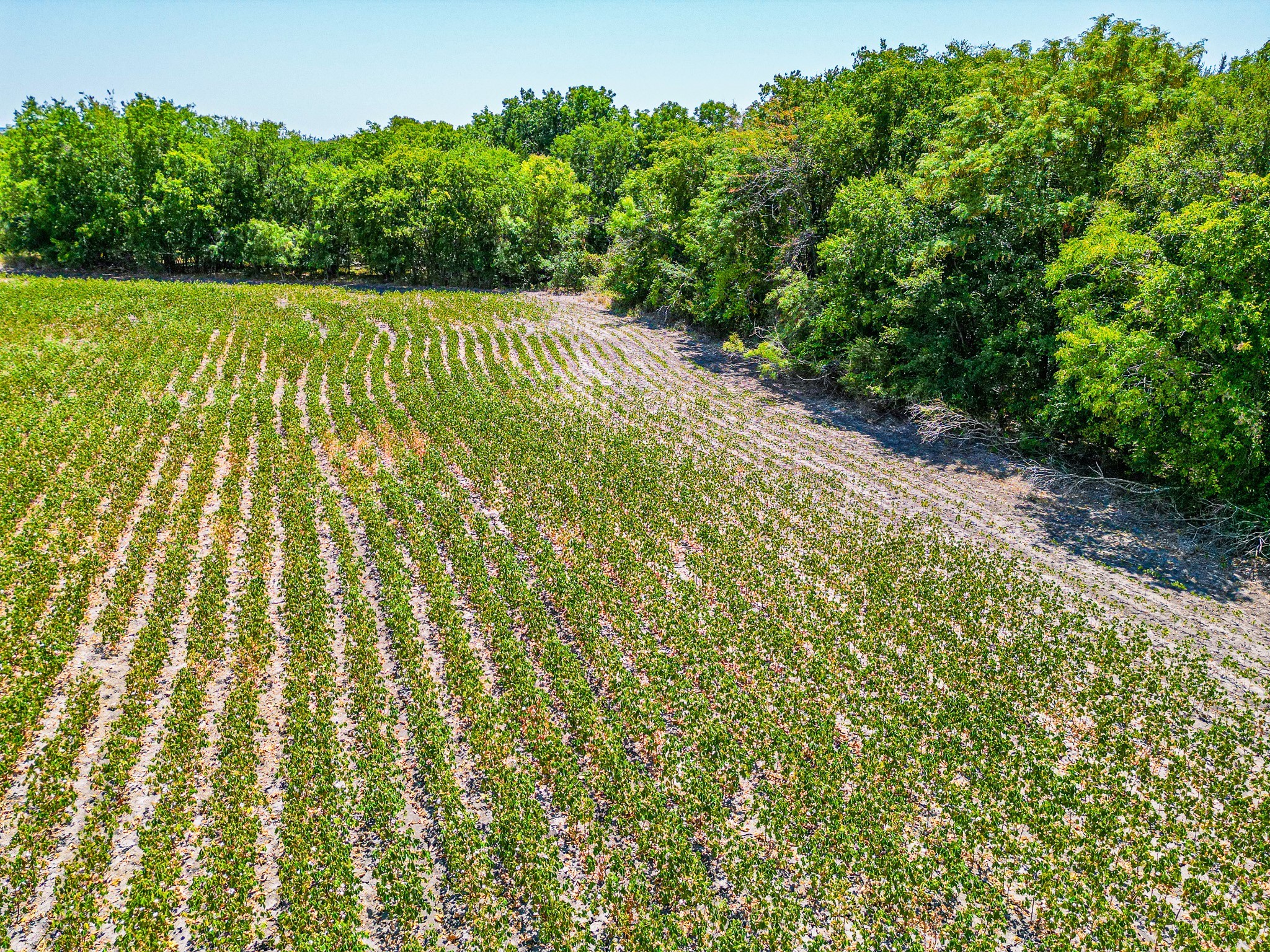 Tbd Fm 744 Malone TX 76660