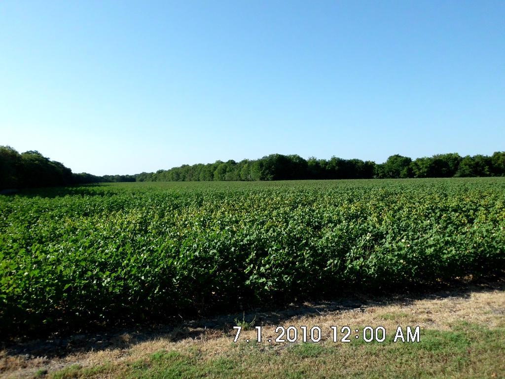 Tbd Fm 744 Malone TX 76660