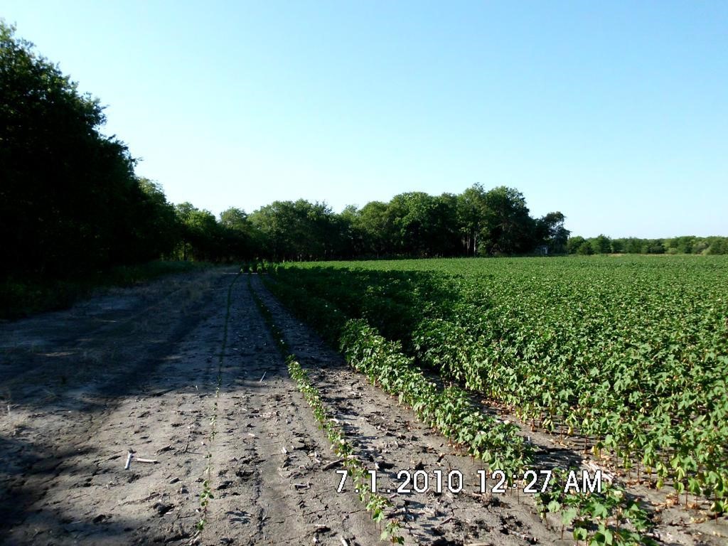 Tbd Fm 744 Malone TX 76660
