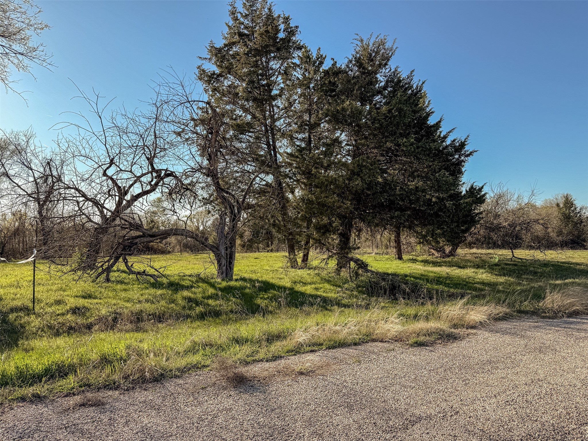 2077 Bluffview Lane Lone Oak TX 75453