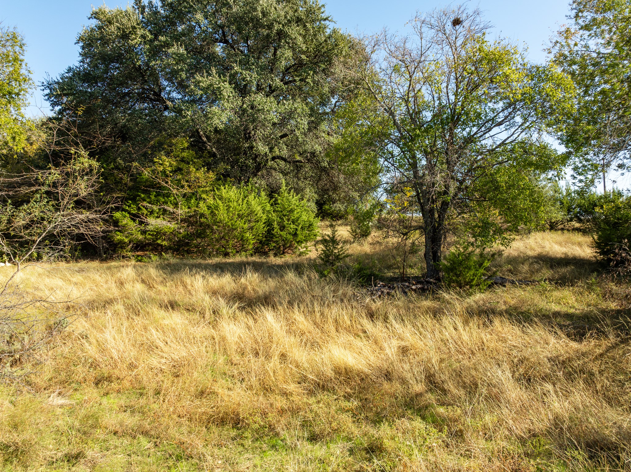 42019 Preston Trail Whitney TX 76692