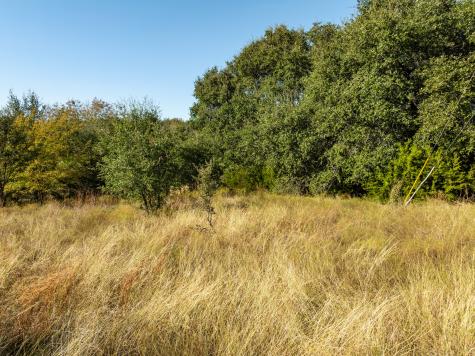 42019 Preston Trail Whitney TX 76692