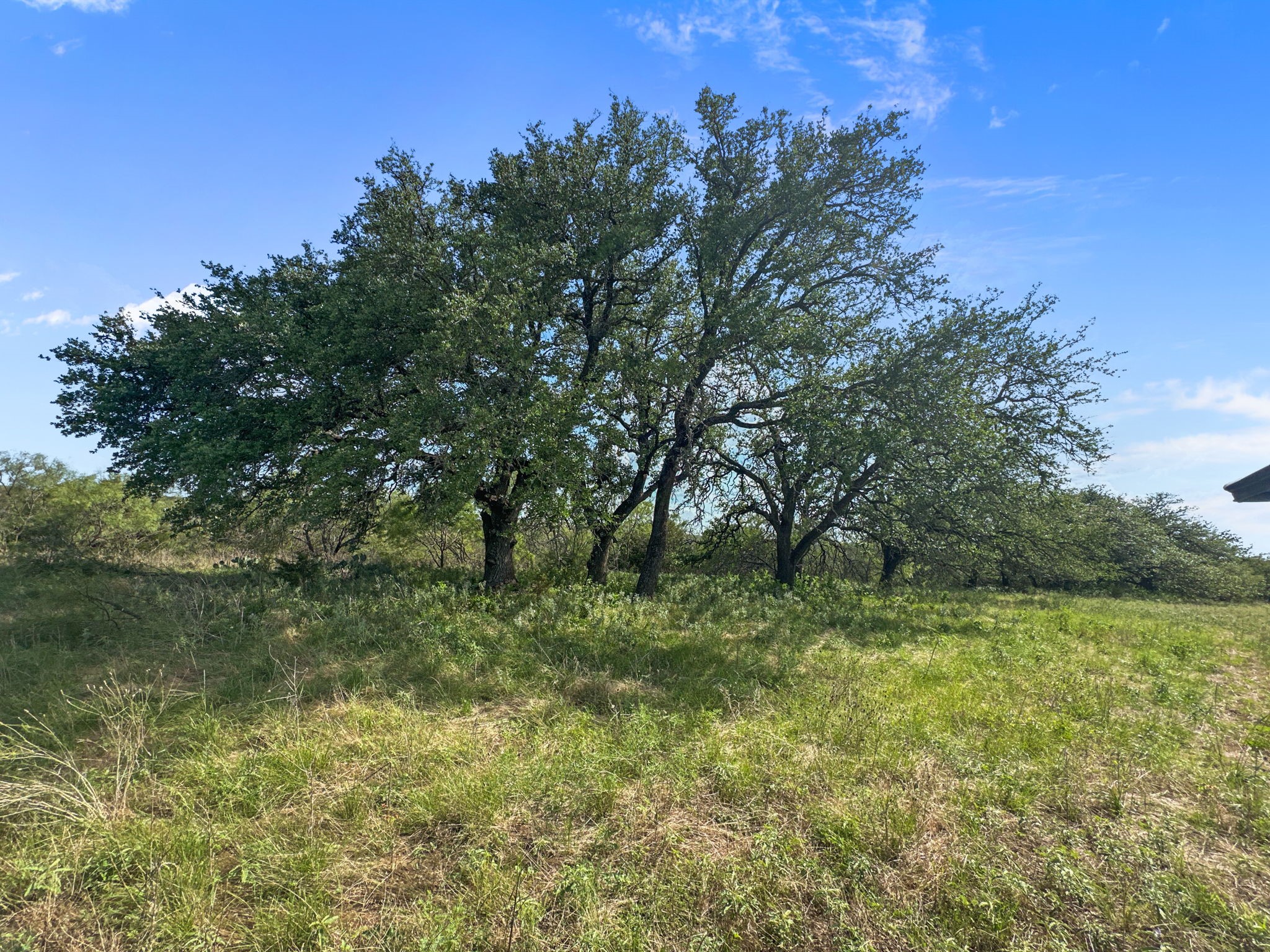 Tbd Highway 281 Evant TX 76525