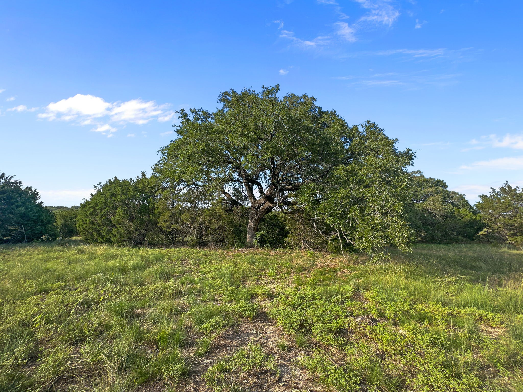 Tbd Highway 281 Evant TX 76525