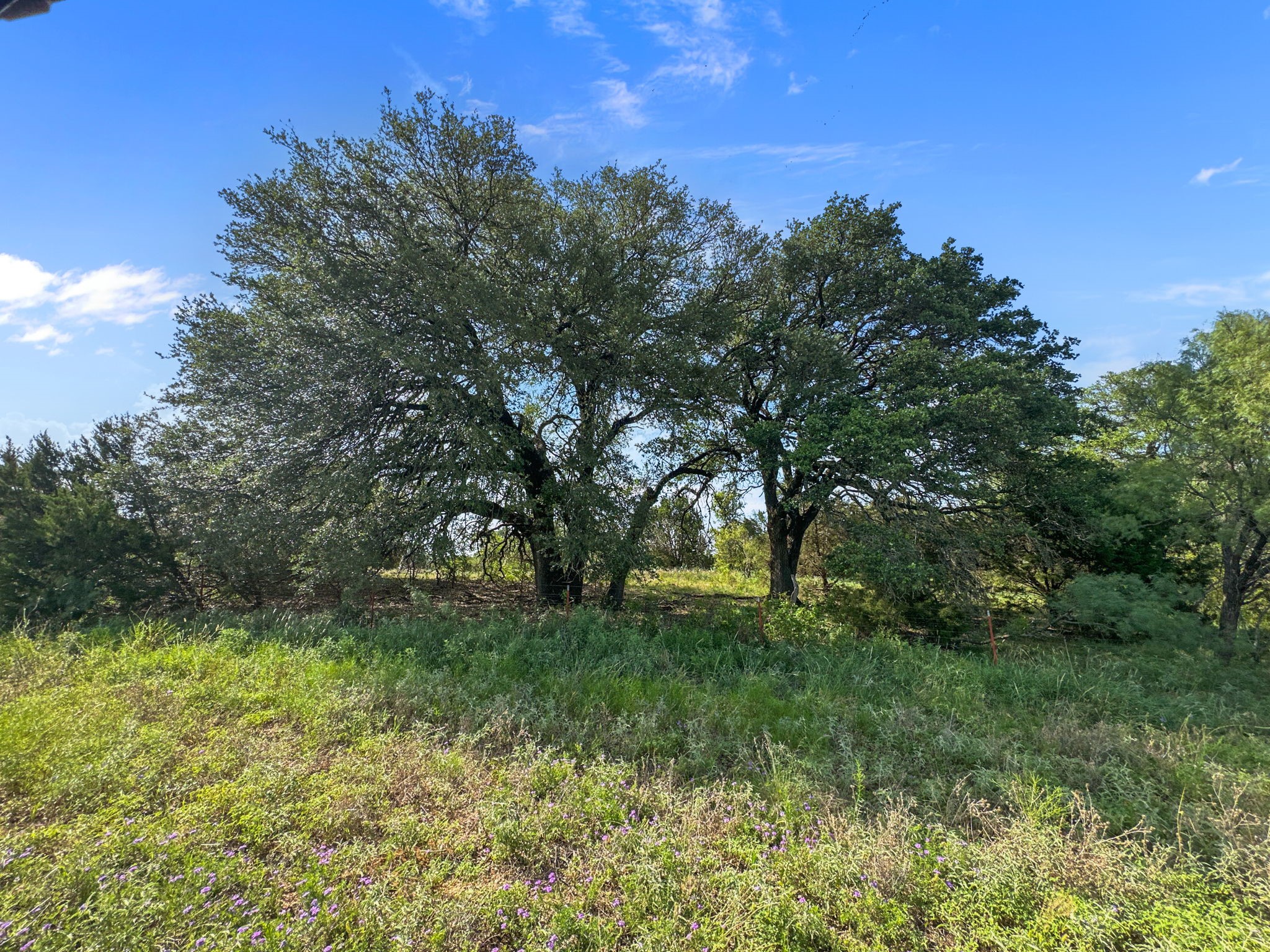 Tbd Highway 281 Evant TX 76525