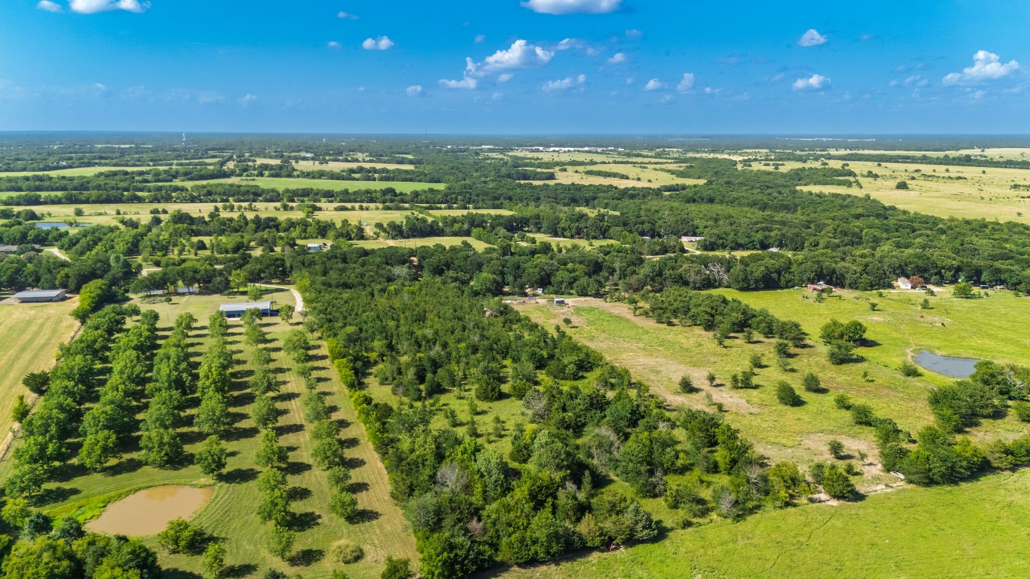 Tbd White Rock Road Lone Oak TX 75453