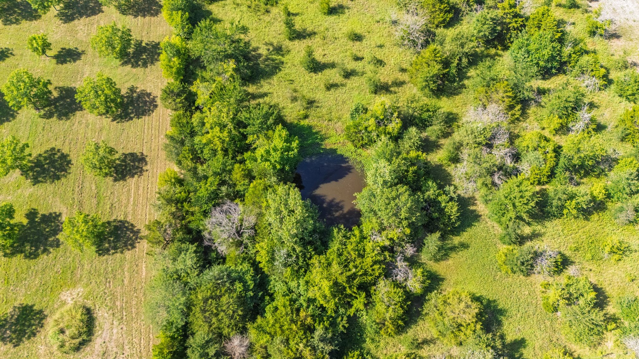 Tbd White Rock Road Lone Oak TX 75453