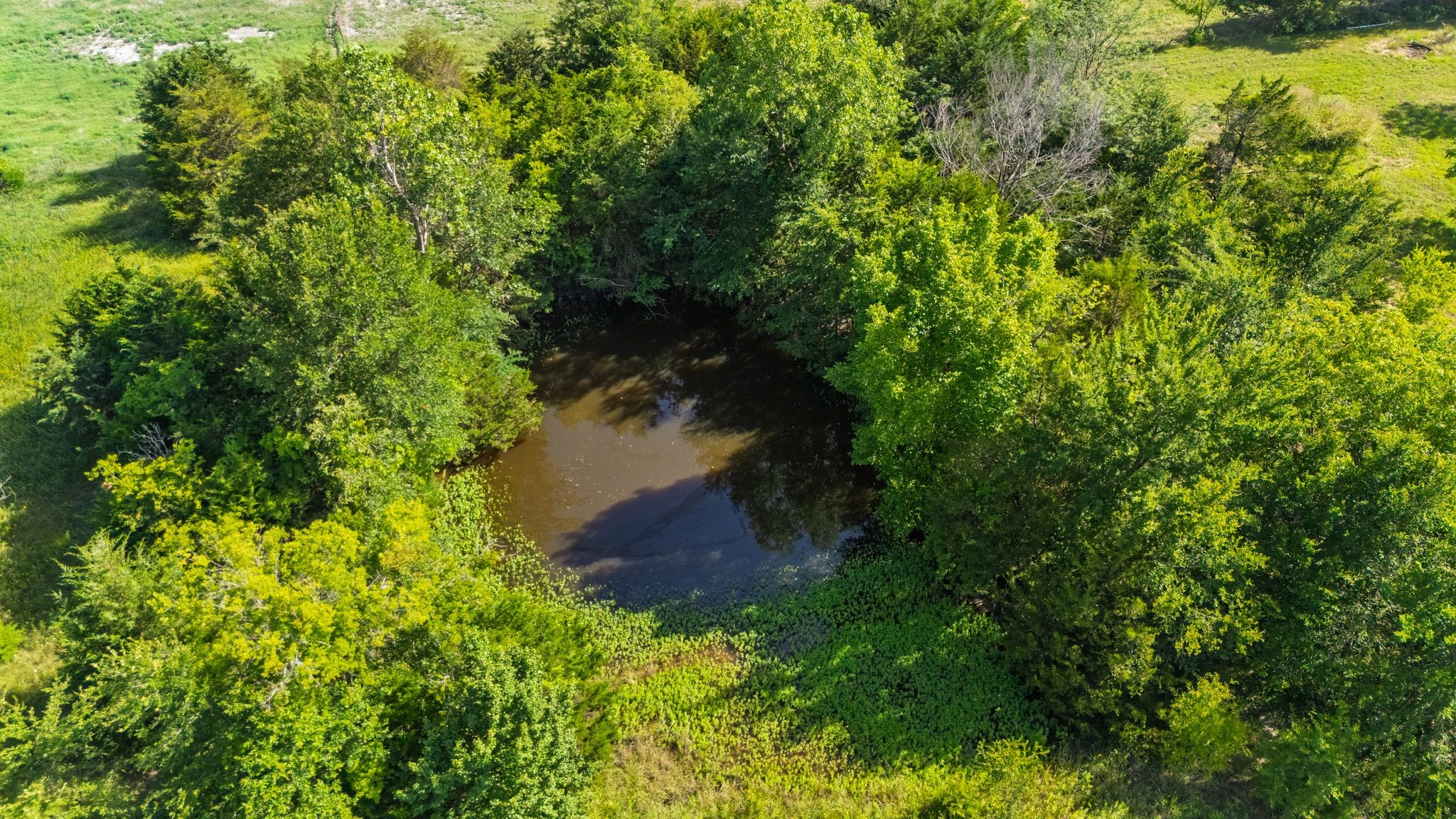 Tbd White Rock Road Lone Oak TX 75453