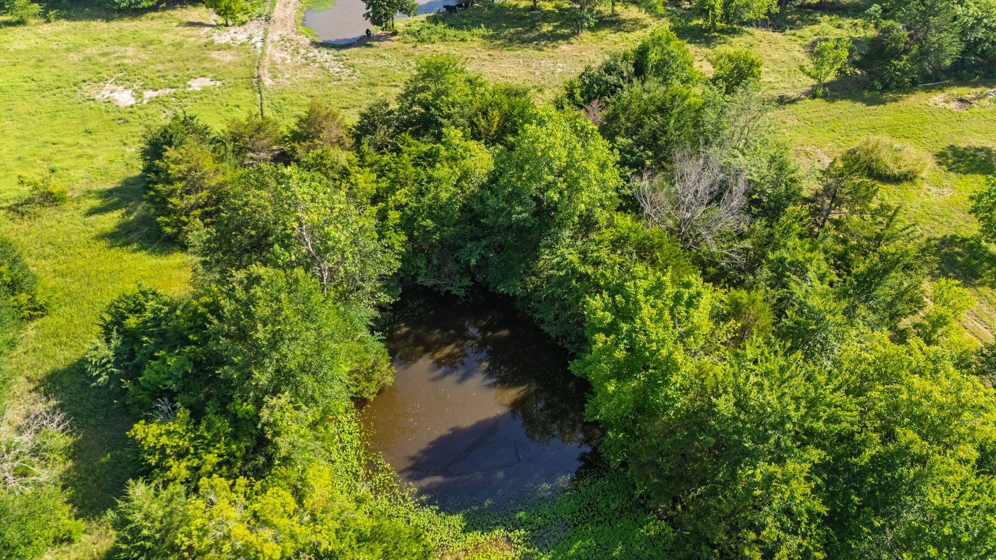 Tbd White Rock Road Lone Oak TX 75453