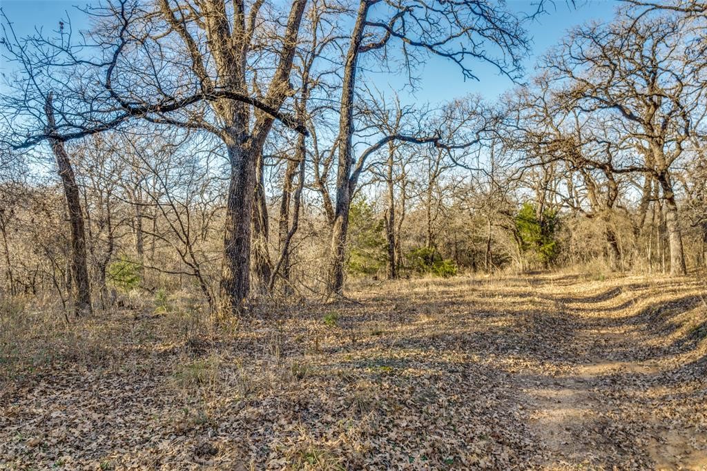 319 County Road 4868 Boyd TX 76023
