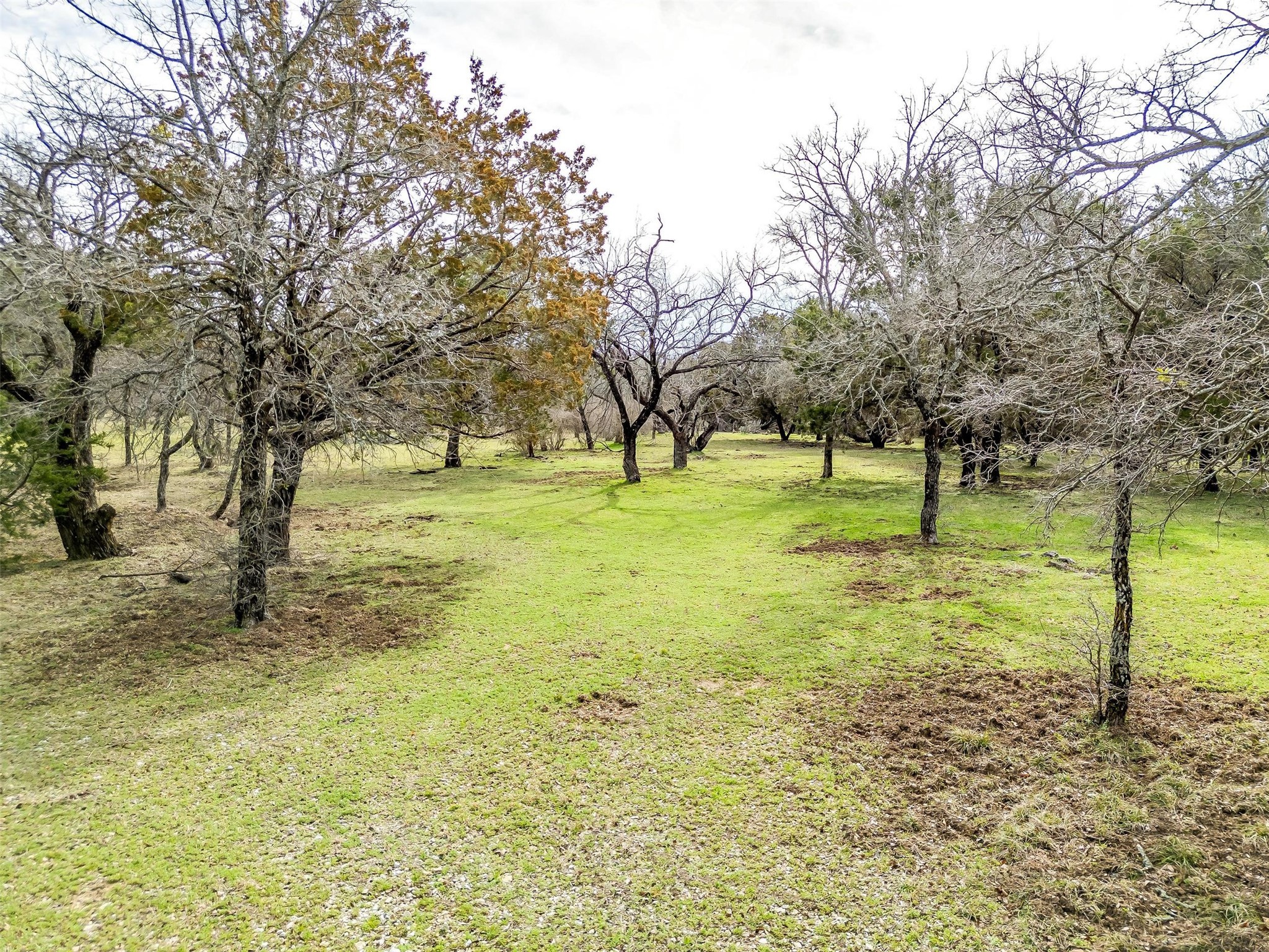 2A Arts Way Gordon TX 76453