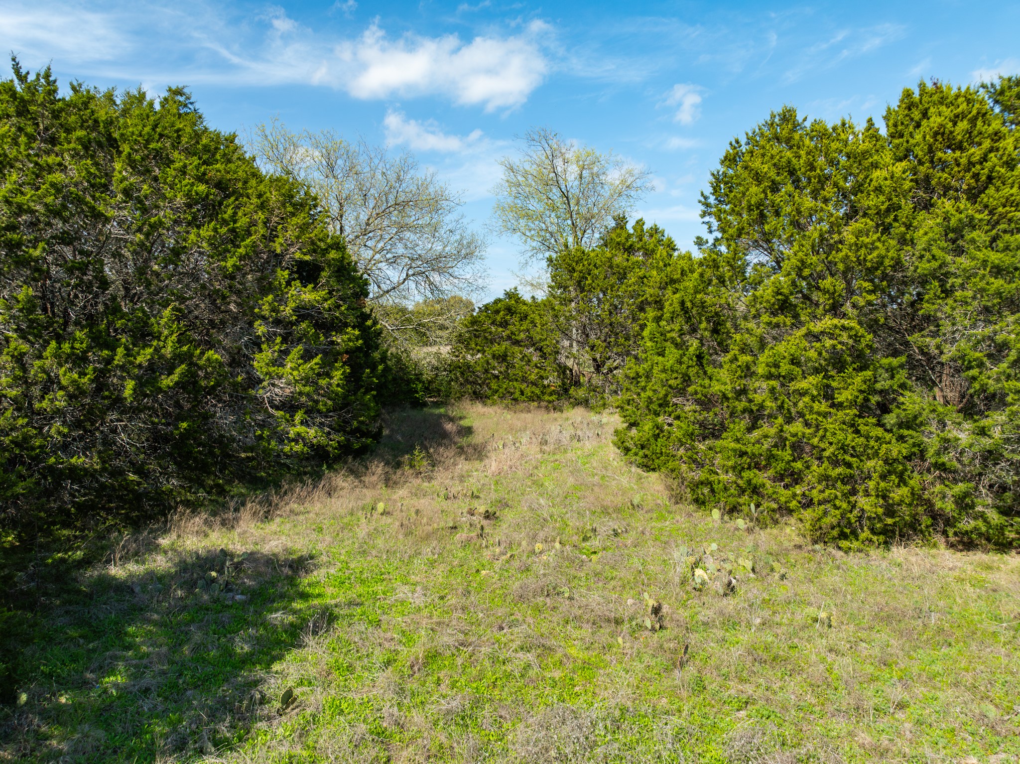 11082 Briarwood Drive Whitney TX 76692