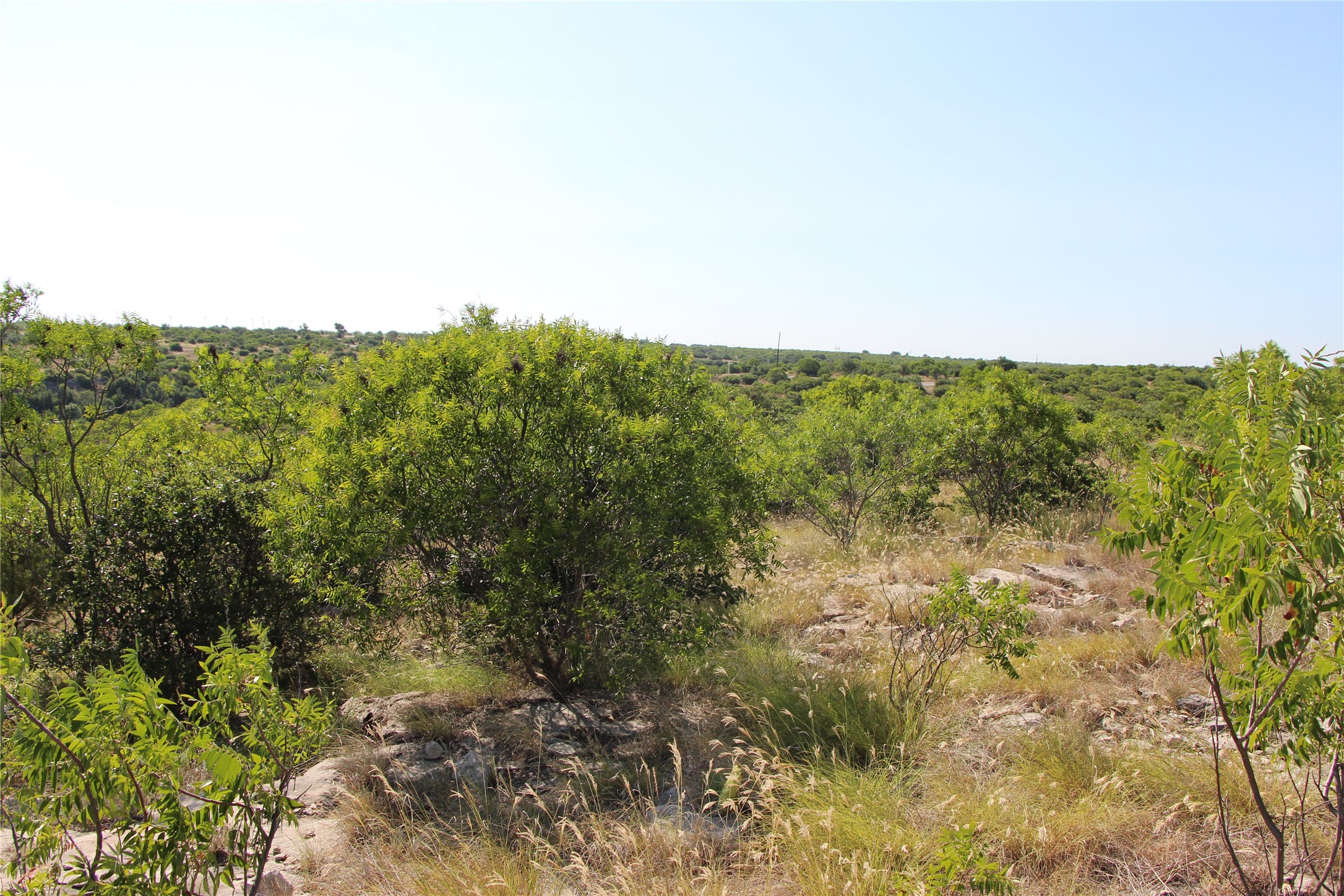 163 Baltrusol Drive Graford TX 76449