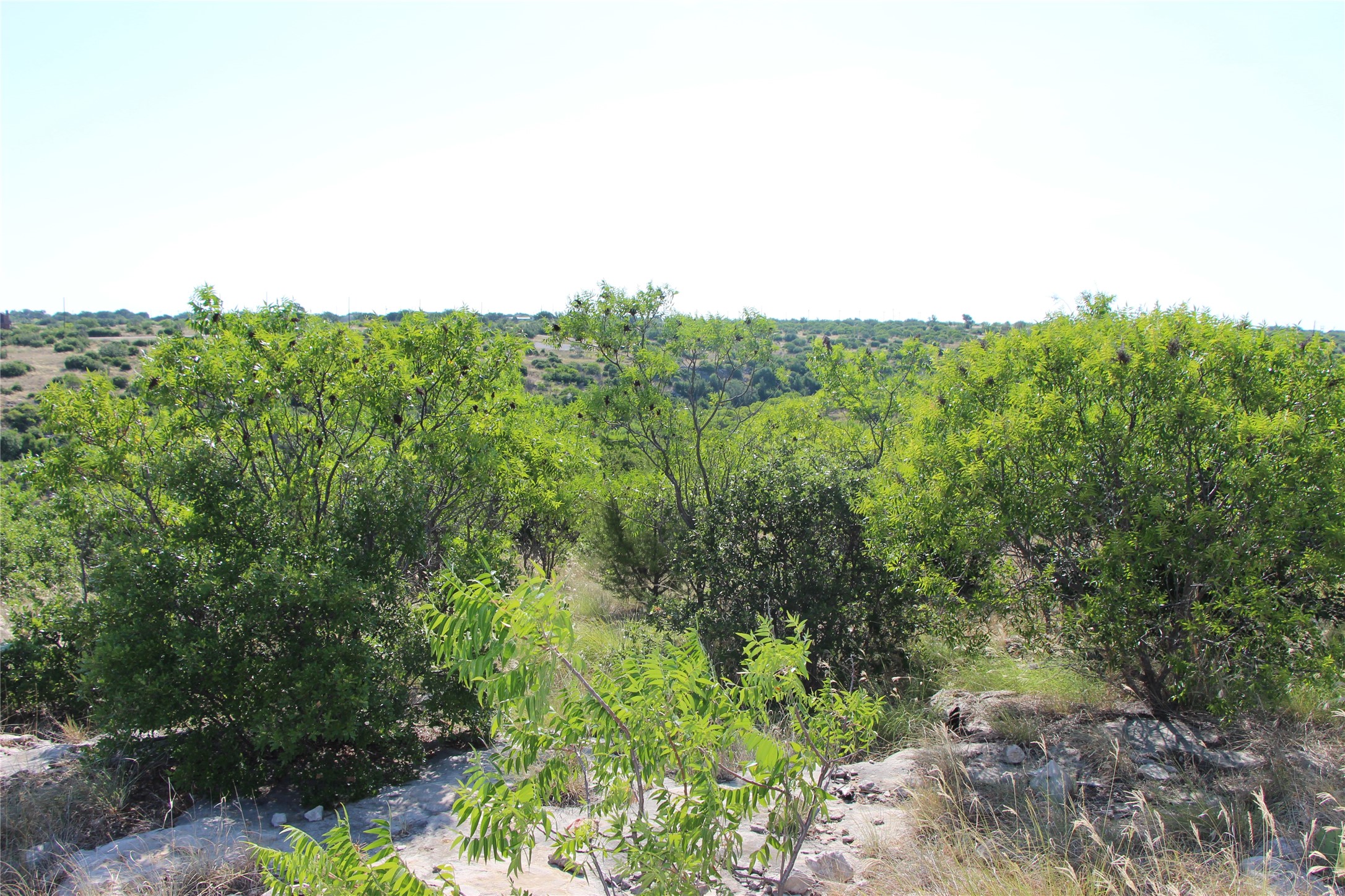 163 Baltrusol Drive Graford TX 76449