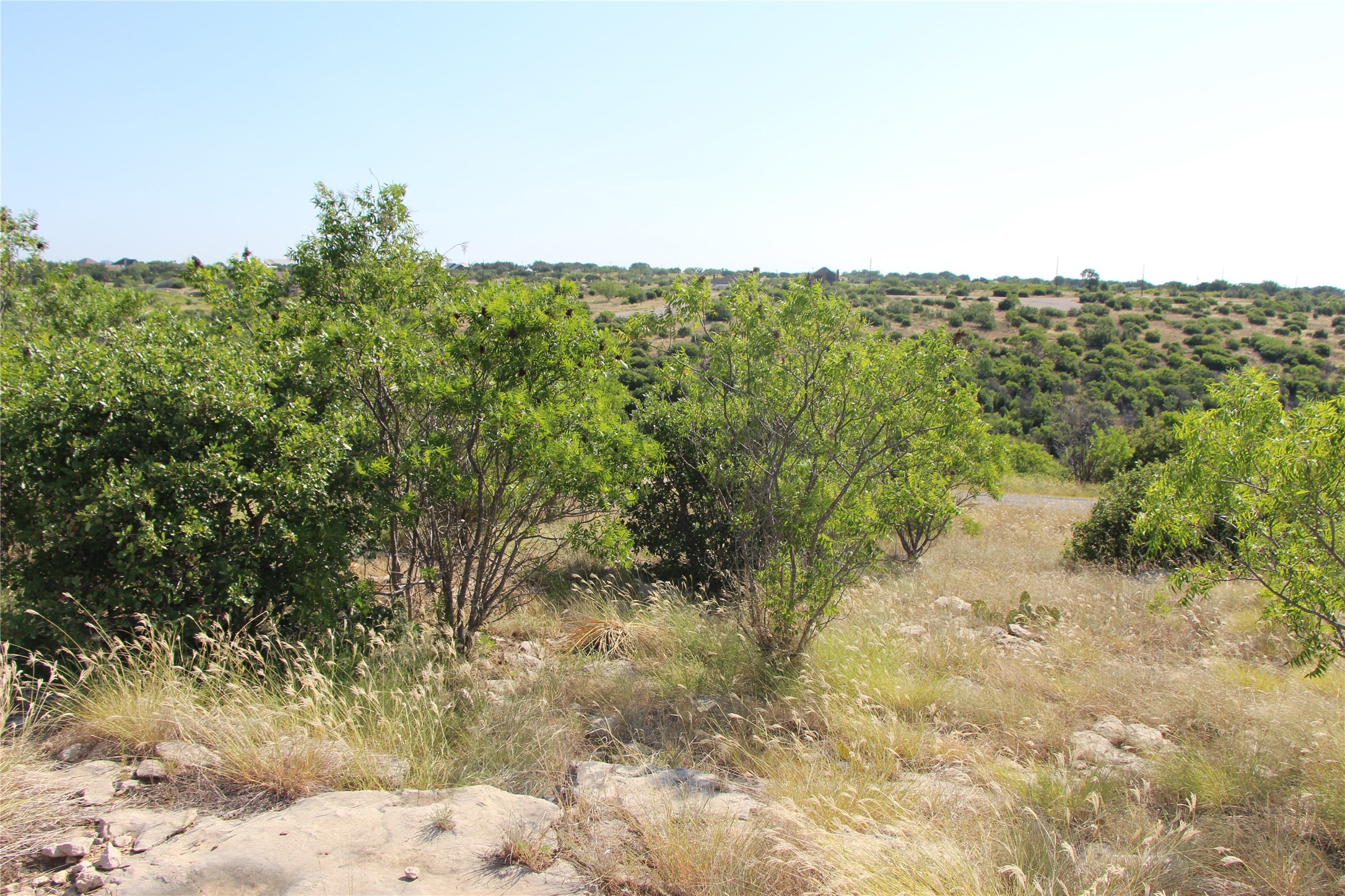 163 Baltrusol Drive Graford TX 76449