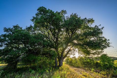 3021 Fm-1689 Comanche TX 76442