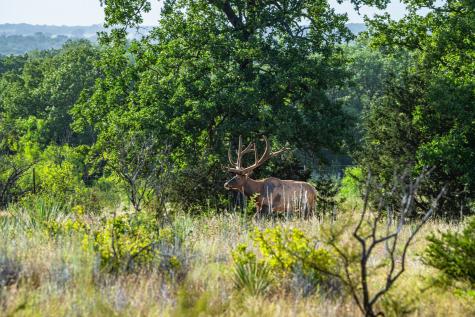 3021 Fm-1689 Comanche TX 76442