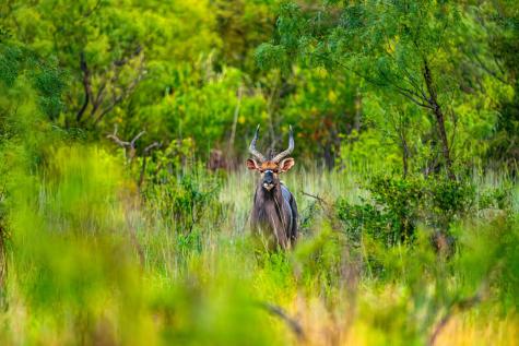 3021 Fm-1689 Comanche TX 76442