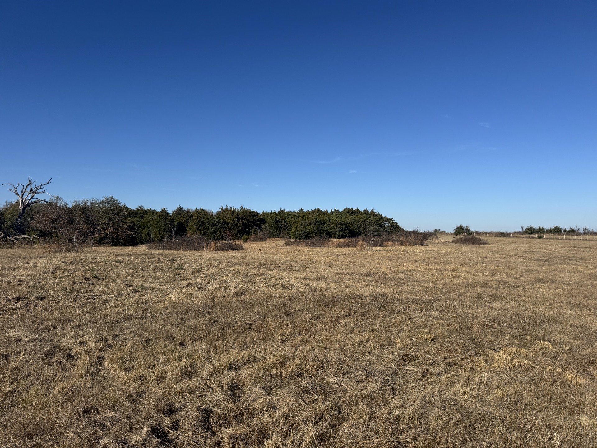 Tbd Tract 8 Fm 2675 Roxton TX 75477