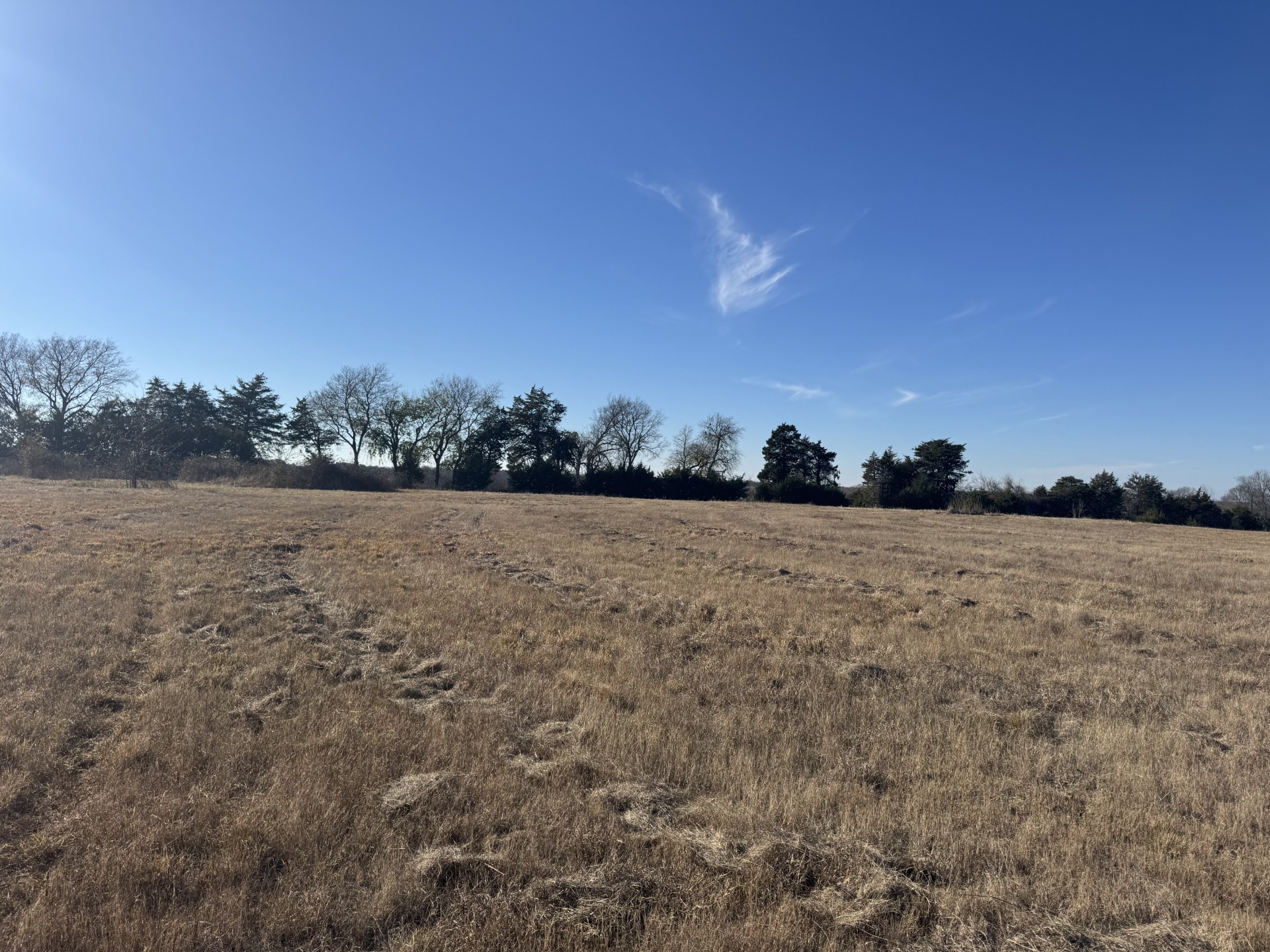 Tbd Tract 8 Fm 2675 Roxton TX 75477