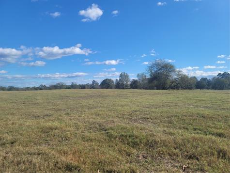 12403 Fm 1975 Gilmer TX 75644