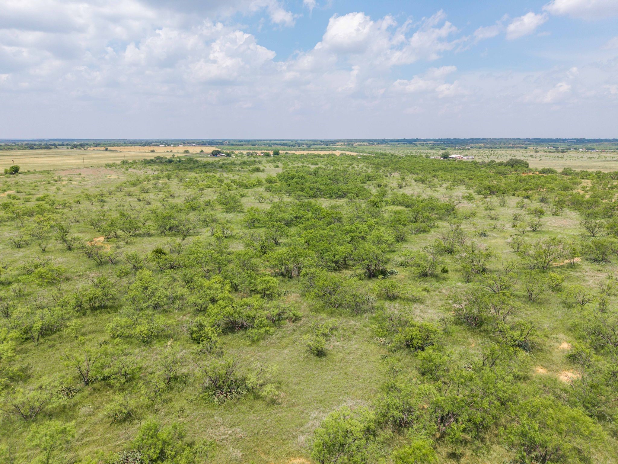 6989 Highway 377 S Brownwood TX 76801