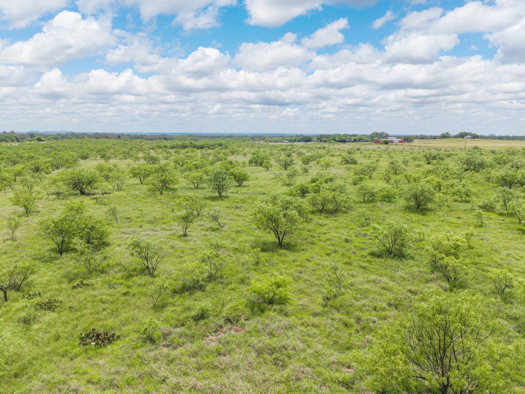 6989 Highway 377 S Brownwood TX 76801