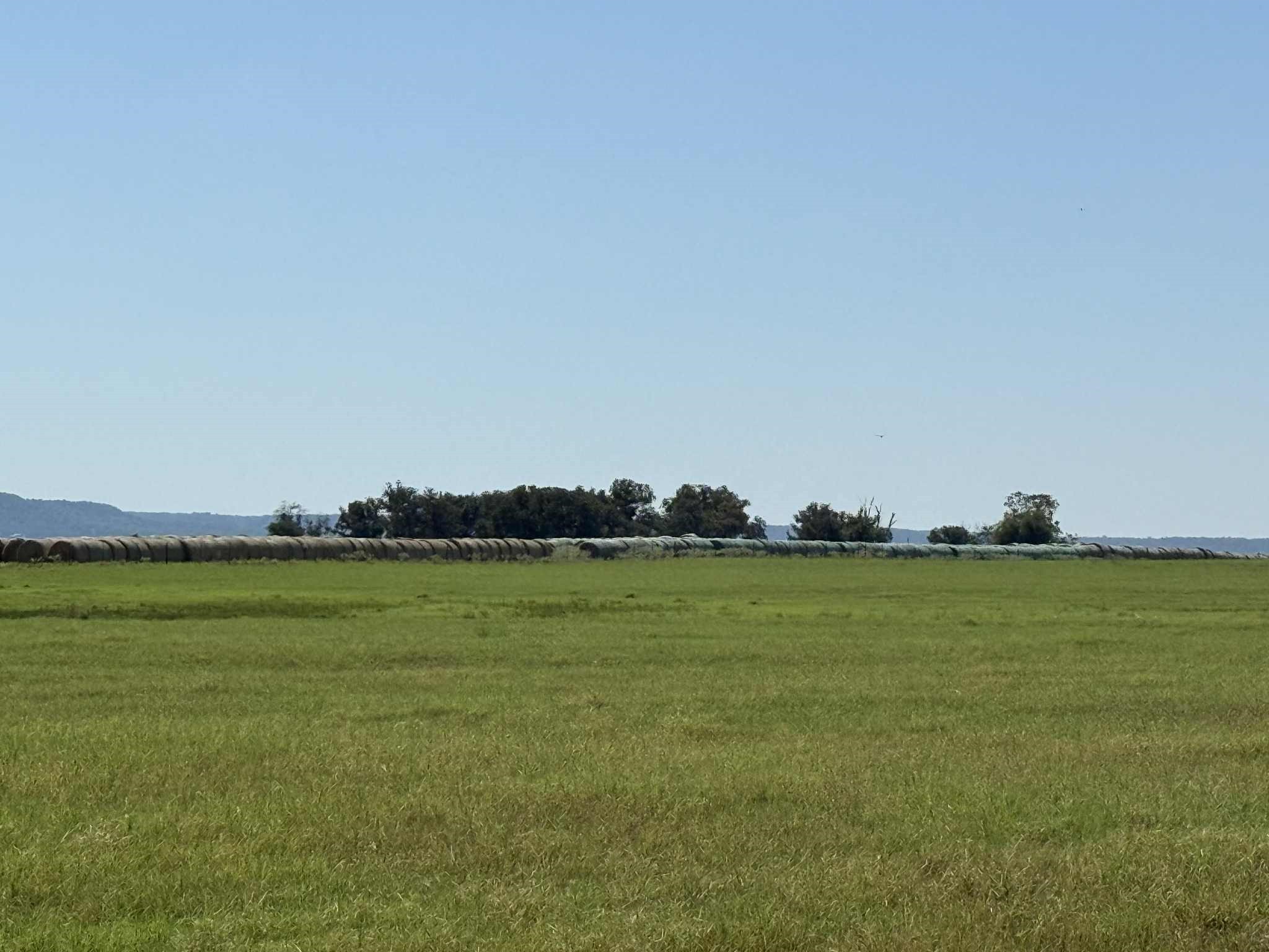 Tbd Highway 36 50 Ac+/- Comanche TX 76442