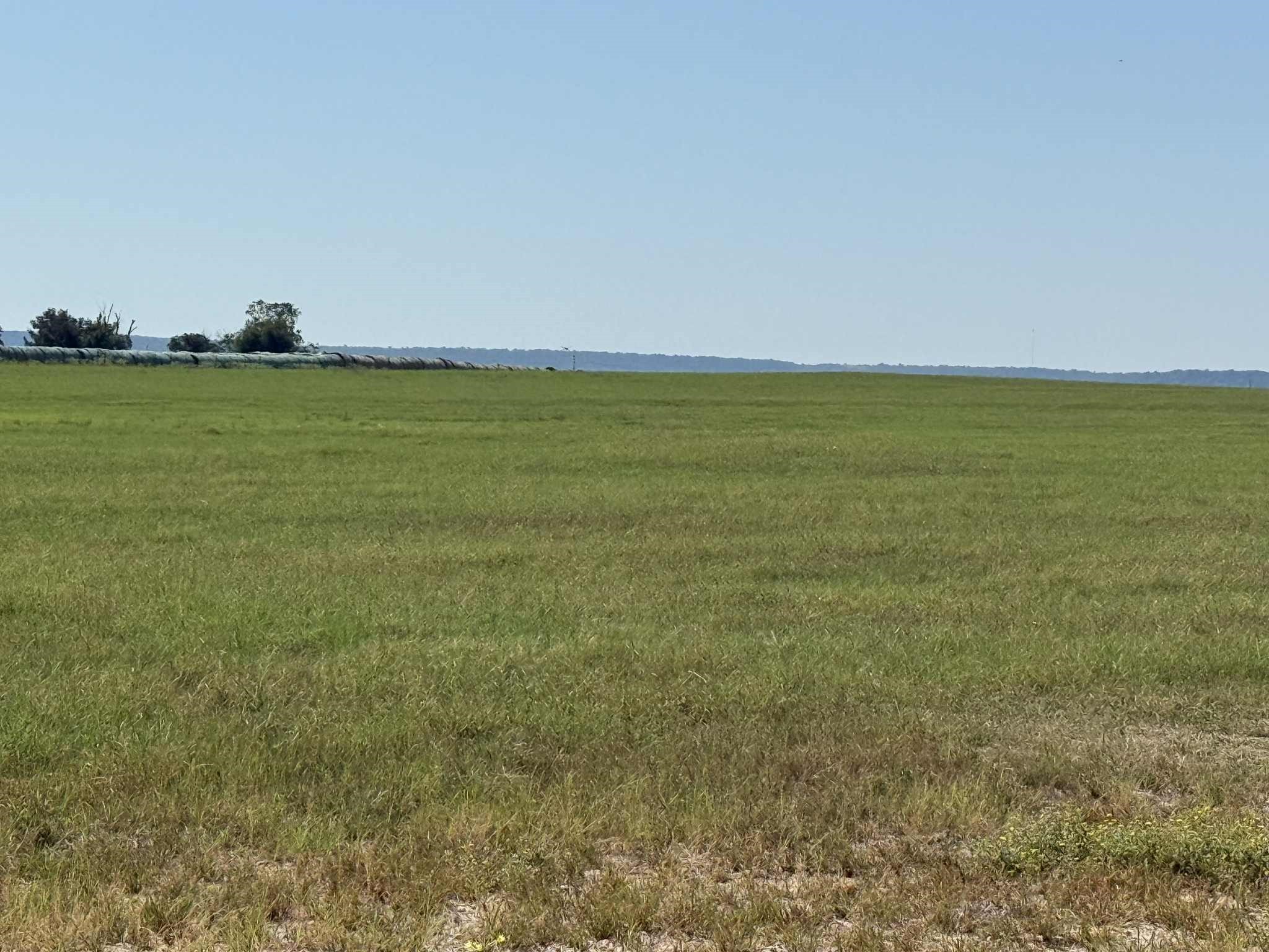 Tbd Highway 36 50 Ac+/- Comanche TX 76442