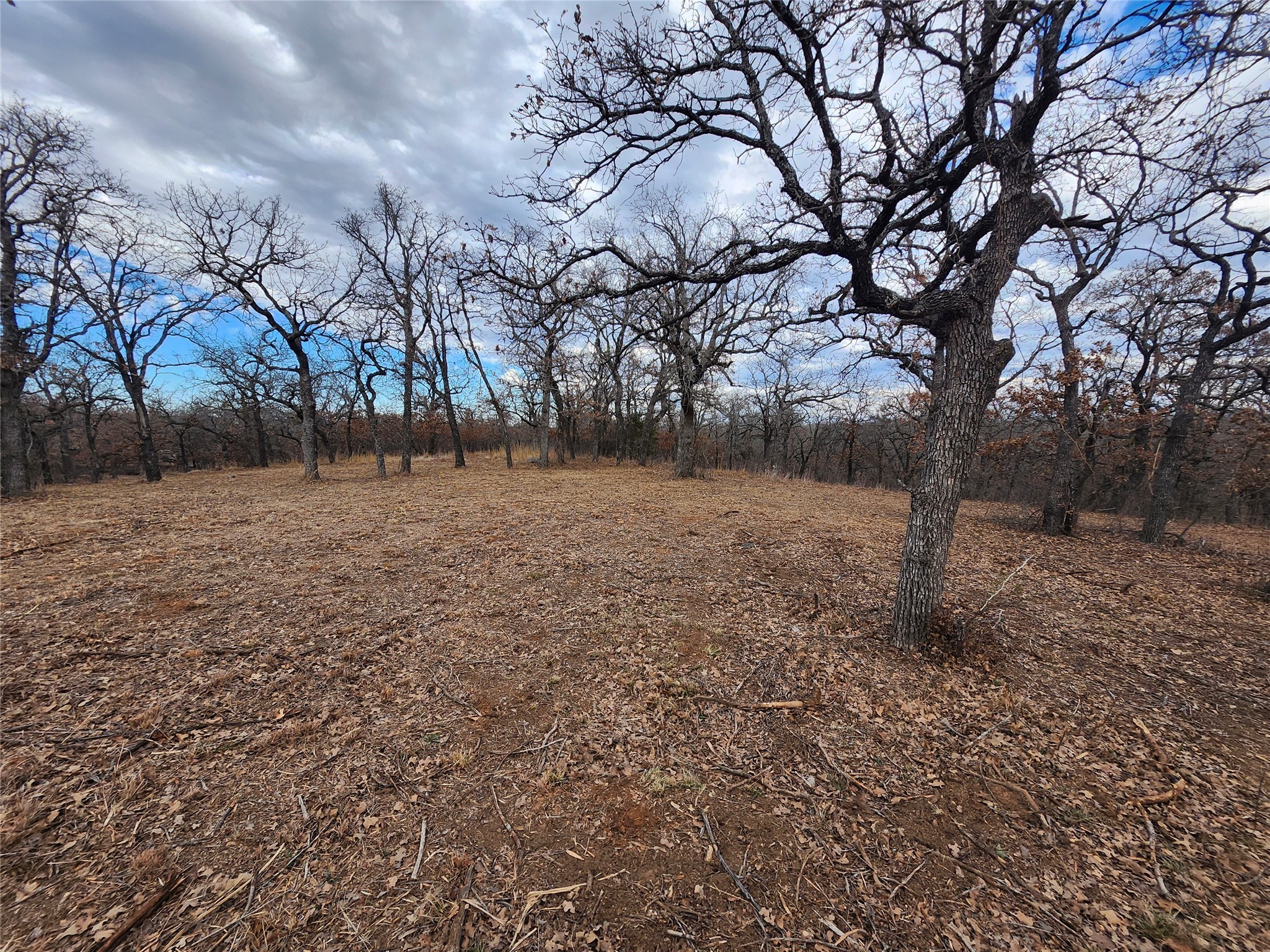 114 Zuni Drive Nocona TX 76255