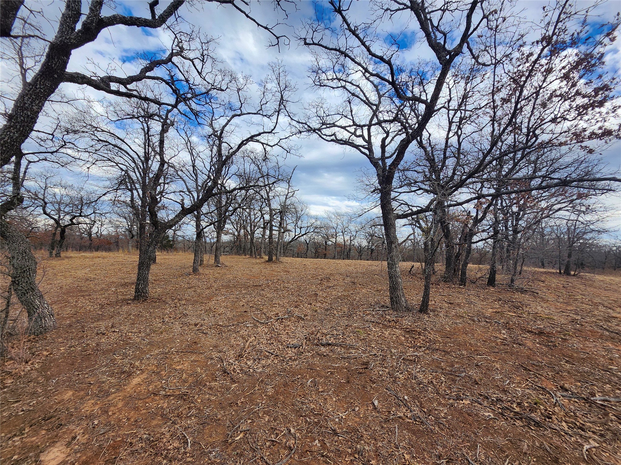 114 Zuni Drive Nocona TX 76255