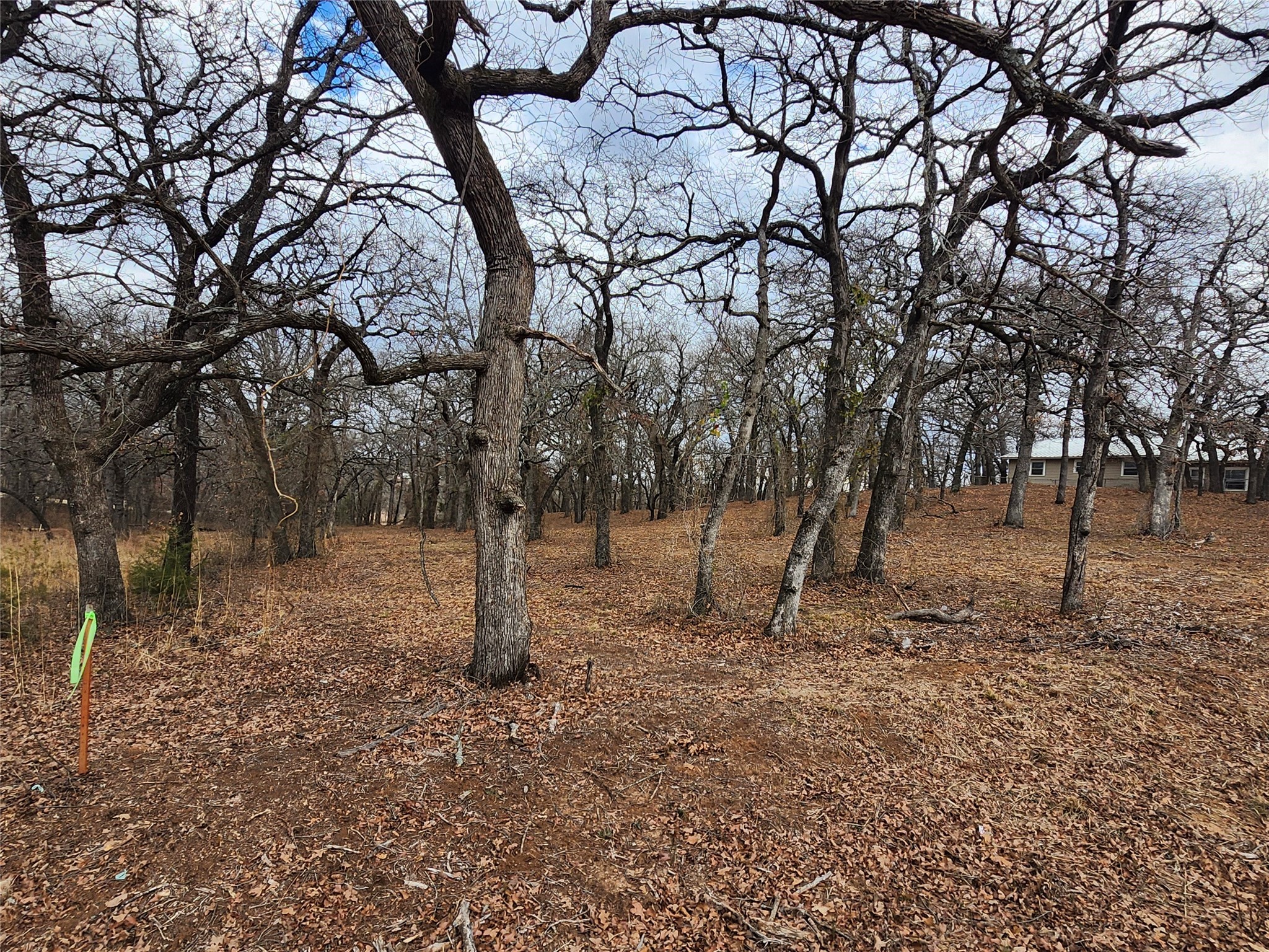 114 Zuni Drive Nocona TX 76255