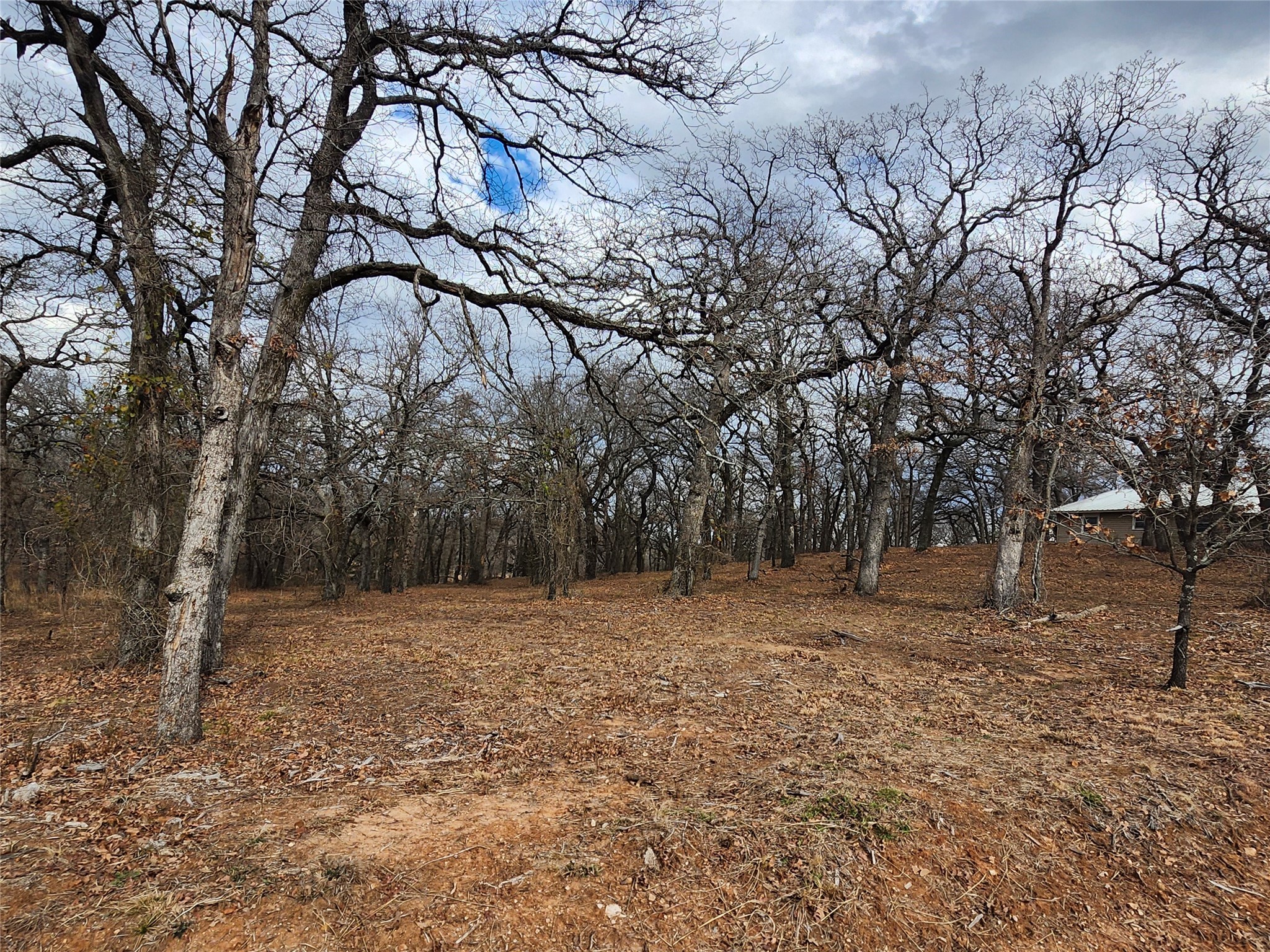114 Zuni Drive Nocona TX 76255