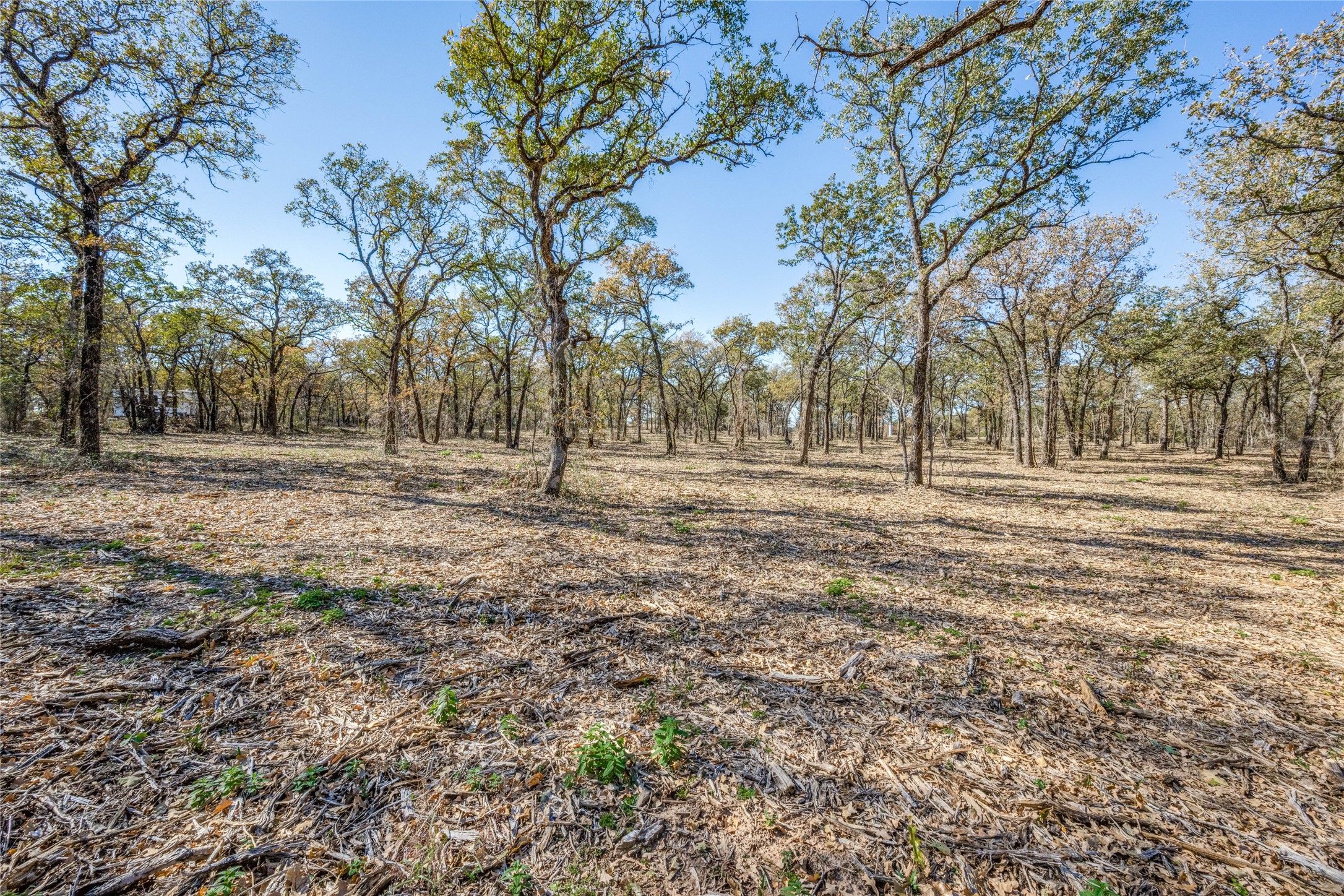 268 County Road 3671 Springtown TX 76082