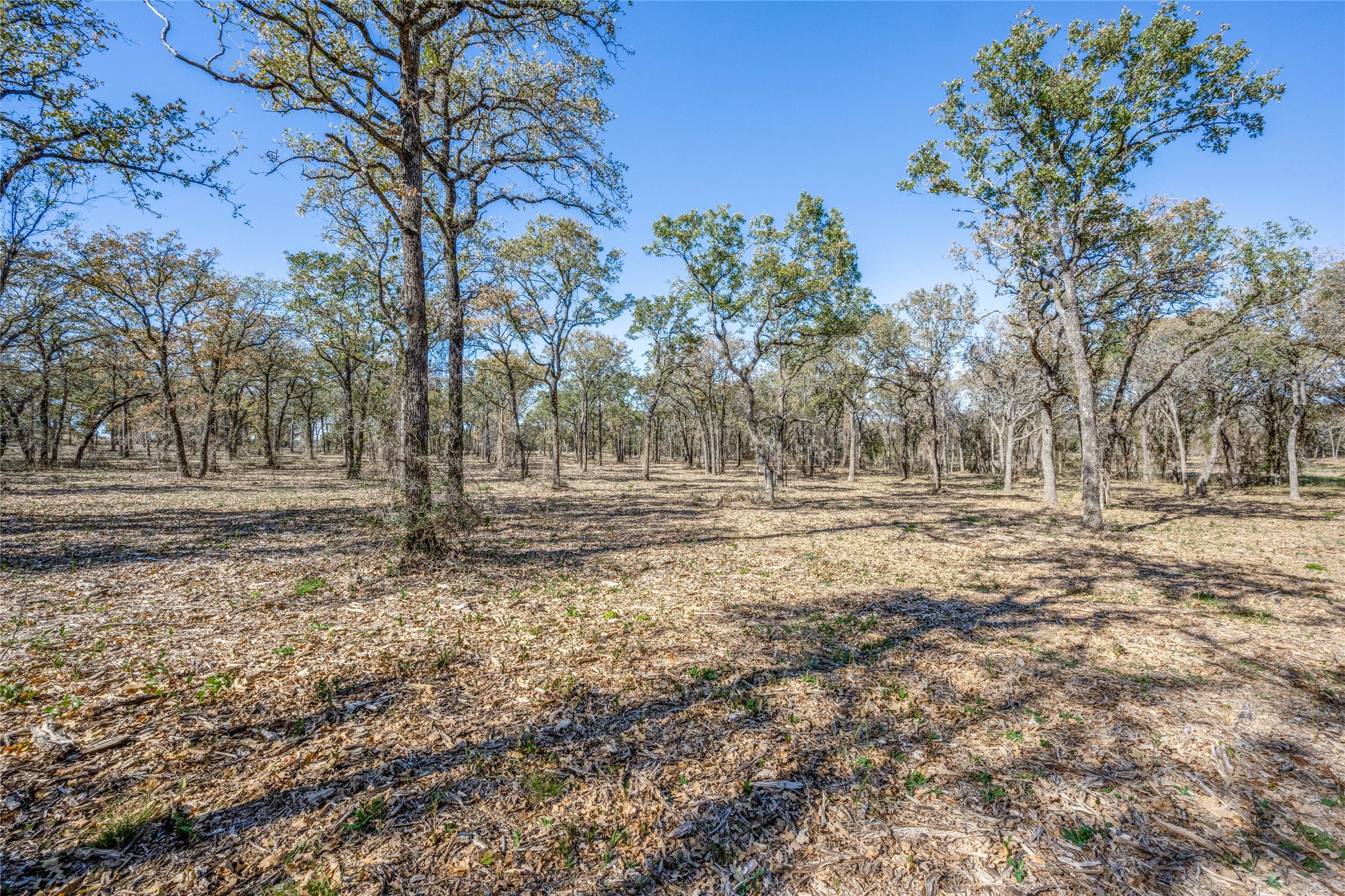 268 County Road 3671 Springtown TX 76082