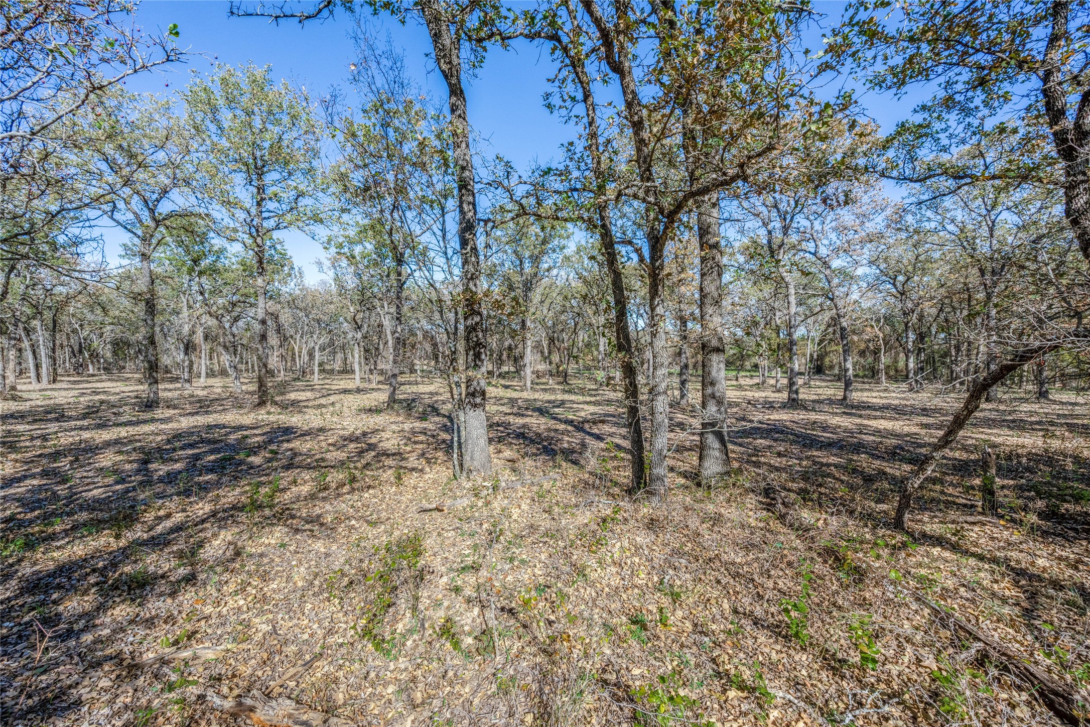 268 County Road 3671 Springtown TX 76082