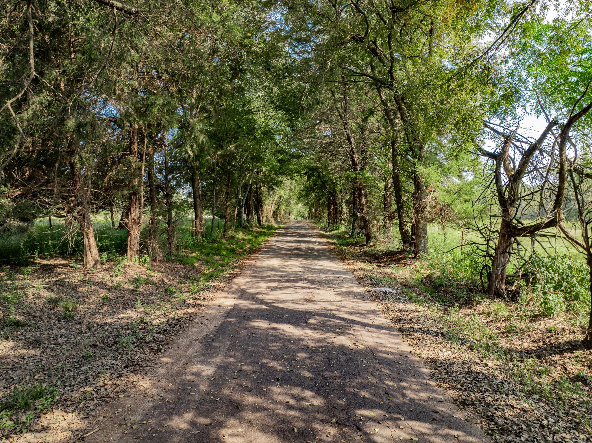 0000 County Road 3373 Winnsboro TX 75494