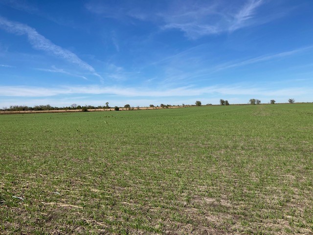 0000 Fm 198 Lake Creek TX 75450