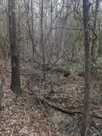 0 County Road 3460 Hawkins TX 75765