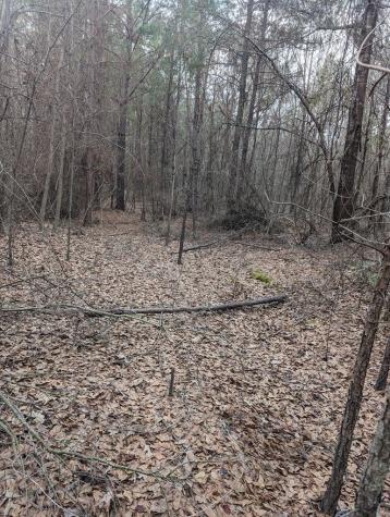 0 County Road 3460 Hawkins TX 75765