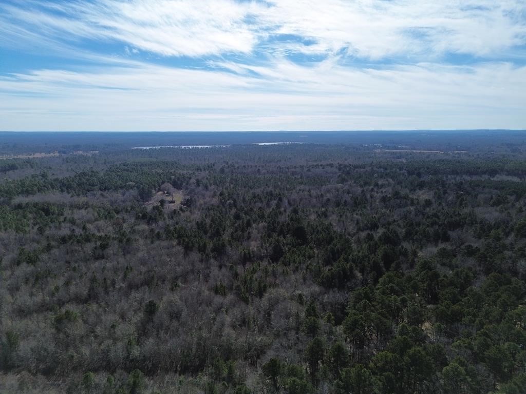 0 County Road 3460 Hawkins TX 75765