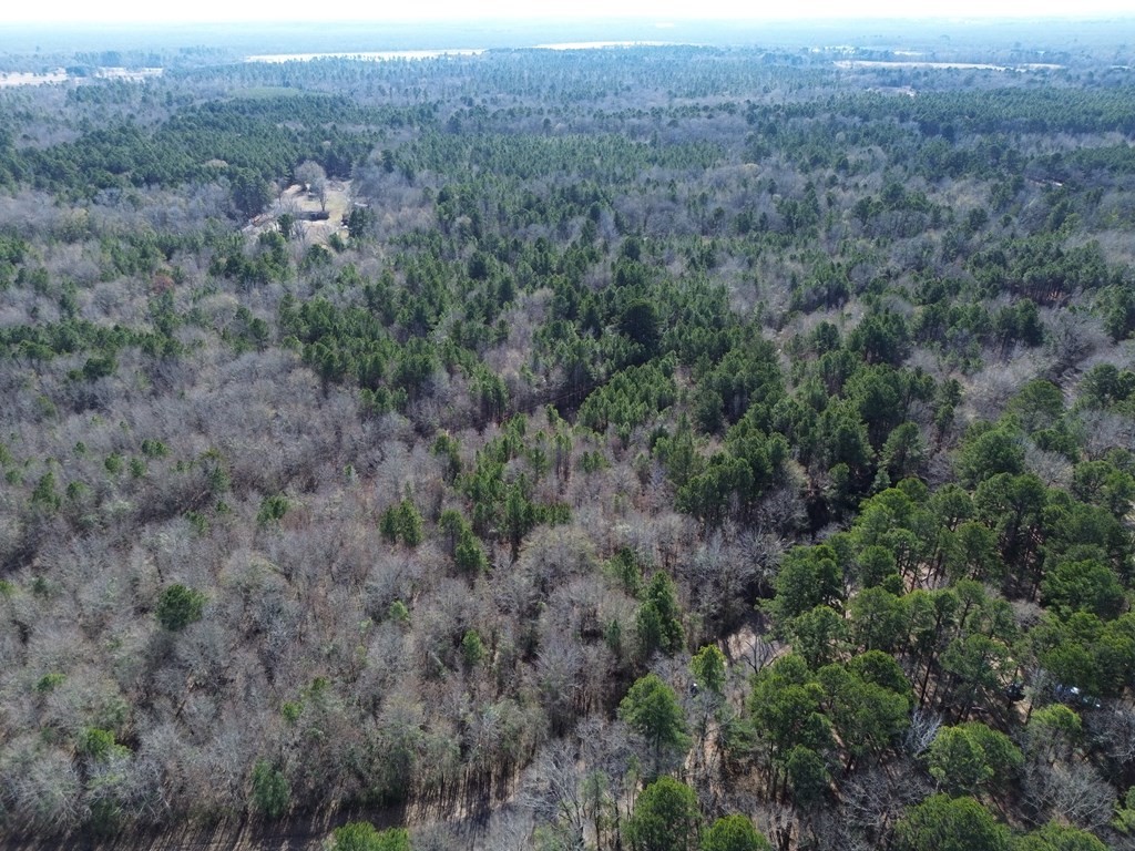0 County Road 3460 Hawkins TX 75765
