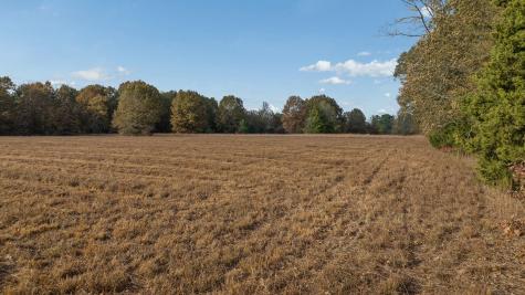 Tbd County Road 1440 Bogata TX 75417