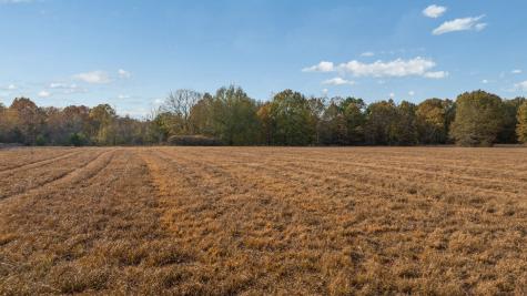 Tbd County Road 1440 Bogata TX 75417