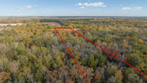 Tbd County Road 1440 Bogata TX 75417